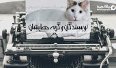 نویسندگان و گربه هایشان