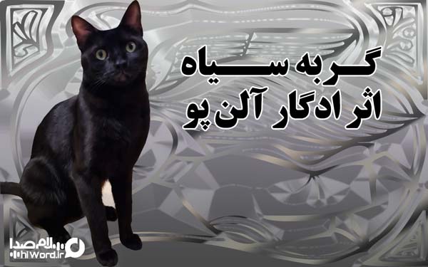 داستان گربه سیاه :گربه در کتاب ها و آثار داستانی