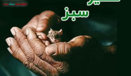 کتاب صوتی مسیر سبز نویسنده: استیون کینگ